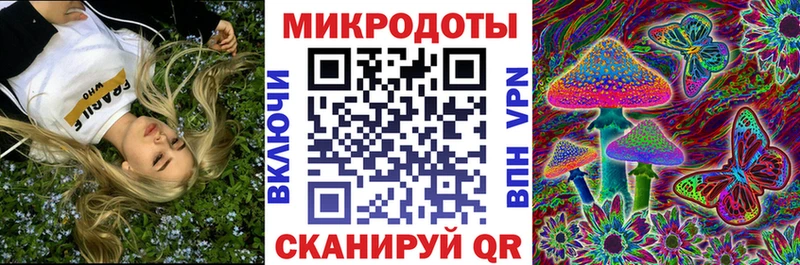 магазин продажи наркотиков  Губкинский  Псилоцибиновые грибы Cubensis 
